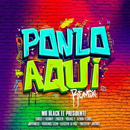 Album cover of PONLO AQUI (REMIX)
