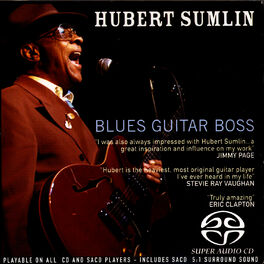 Album cover of Blues Guitar Boss