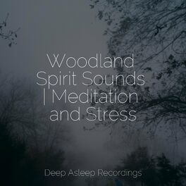 Album cover of Woodland Spirit Sounds | Meditation and Stress