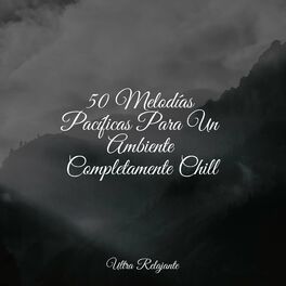 Album cover of 50 Melodías Pacíficas Para Un Ambiente Completamente Chill