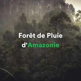 Album cover of Forêt de pluie d'Amazonie