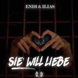 Album cover of Sie will Liebe