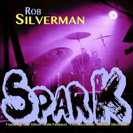 Album cover of Spark (feat. Jay Oliver, John Patitucci, Eric Marienthal & Michael Silverman)