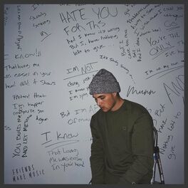 Album cover of i hate you for this
