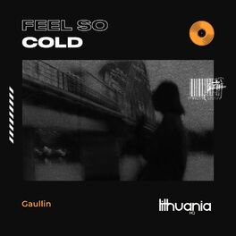 Album cover of Feel so Cold