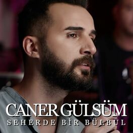 Album cover of Seherde Bir Bülbül