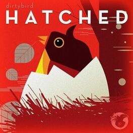 Album cover of Dirtybird HATCHED