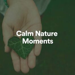 Album cover of Calm Nature Moments