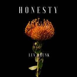 Album cover of Honesty
