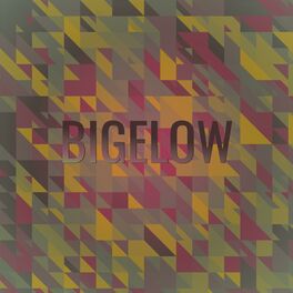 Album cover of Bigelow