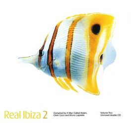 Album cover of Real Ibiza 2