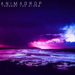 Album cover of Through the Storm