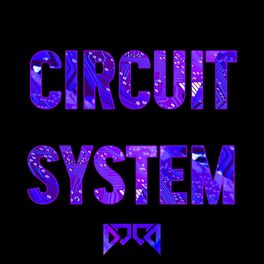 Album cover of Circuit System