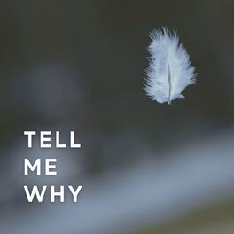 Jess King - Tell Me Why: lyrics and songs