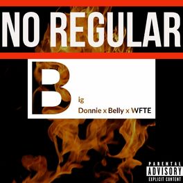 Album cover of No Regular (feat. Belly & WFTE)