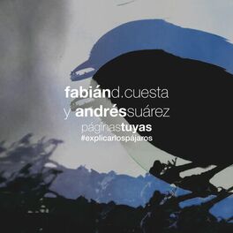 Album cover of Páginas tuyas - Explicar los pájaros