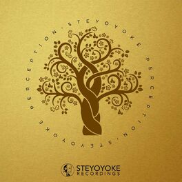 Album cover of Steyoyoke Perception, Vol. 4