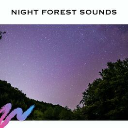 Album cover of Night Forest Sounds