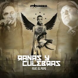 Album cover of ranas y culebras (Freestyle)