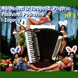 Album cover of Narodnjaci iz Turopolja, Prigorja, Posavine, Podravine i Zagorja N:2