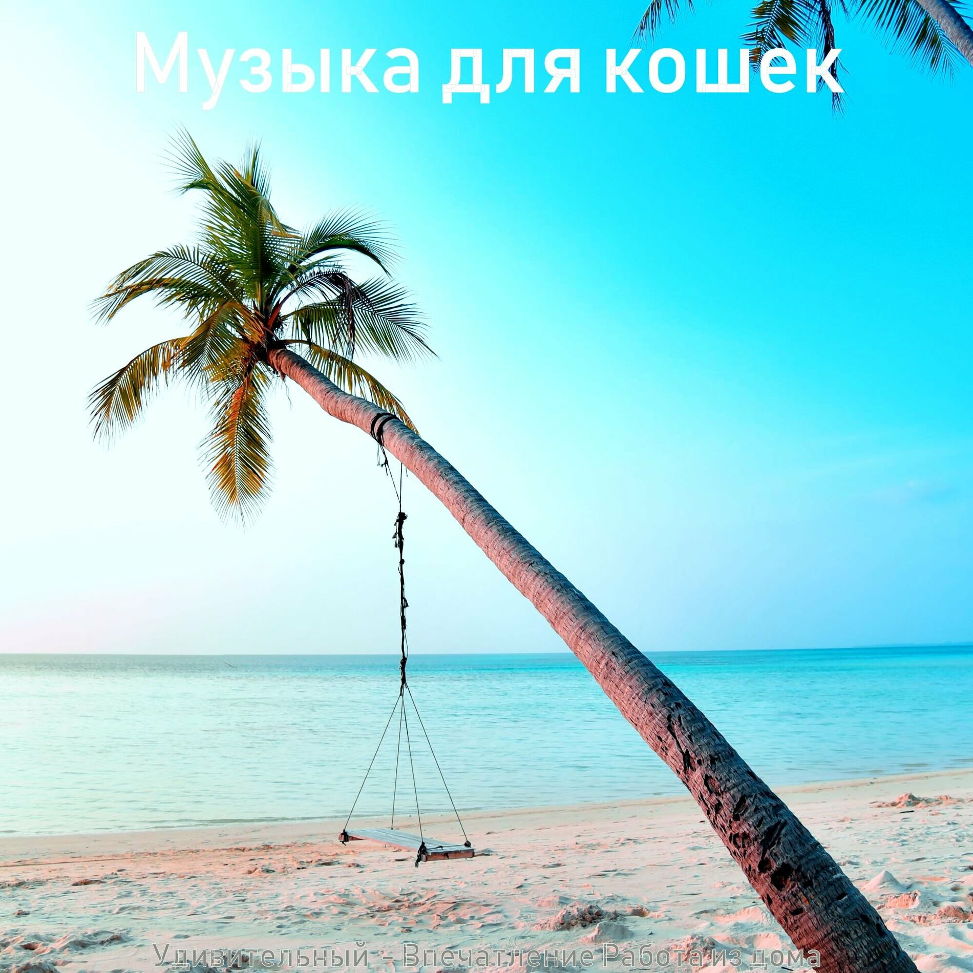 Музыка для кошек: albums, songs, playlists | Listen on Deezer