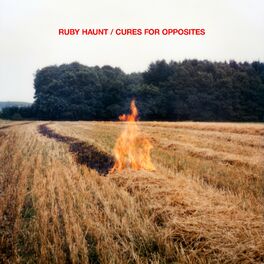 Album cover of Cures for Opposites