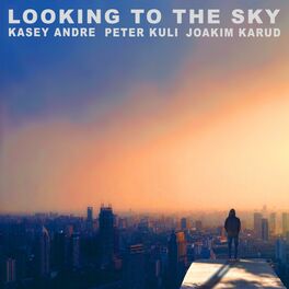 Album cover of Looking to the Sky (feat. Peter Kuli & Joakim Karud)