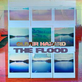 Album cover of The Flood