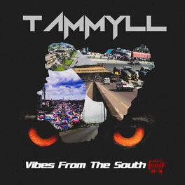 Album cover of Vibes from the South