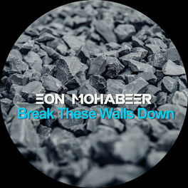 Album cover of Break These Walls Down