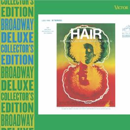 Album cover of Hair (Original Broadway / Off-Broadway Cast Recordings)