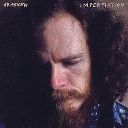 Album cover of Imperfiction