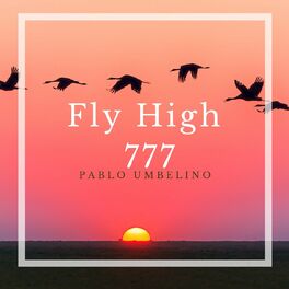 Album cover of Fly High 777