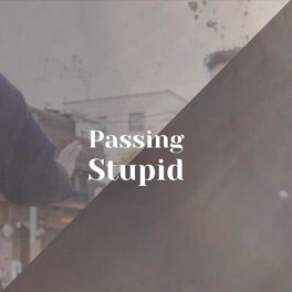 Album cover of Passing Stupid