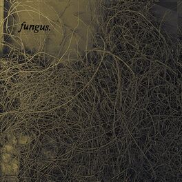 Album cover of Fungus - EP