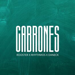 Album cover of Cabrones