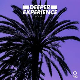 Album cover of Deeper Experience, Vol. 44