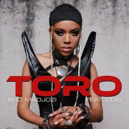 Album cover of Toro (feat. DDG)