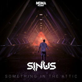 Album cover of Something in the Attic