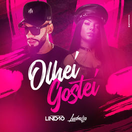 Album cover of Olhei, gostei (feat. Ludmilla)