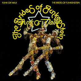 Album cover of Funk Or Walk