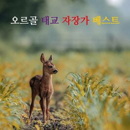 Album cover of 오르골 태교 자장가 베스트 (클래식,동요,찬송가)