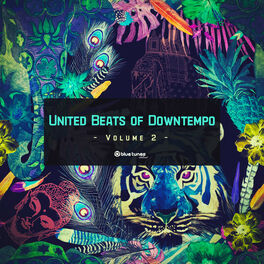 Album cover of United Beats of Downtempo, Vol. 2