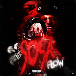 Album cover of Sosa Flow (feat. iayze)