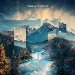 Album cover of Remedy