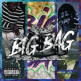 Album cover of Big Bag