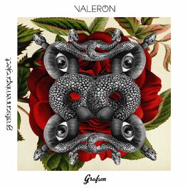 Album cover of Grafson Remix Project