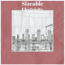 Album cover of Sizeable Electricity
