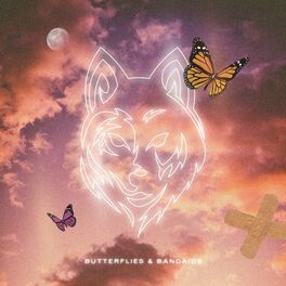 Album cover of Butterflies & Bandaids