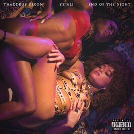 Album cover of End Of The Night